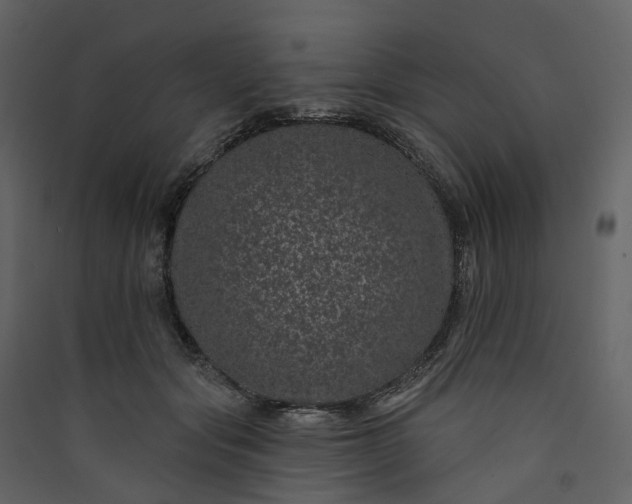 X0000089940557200707131456