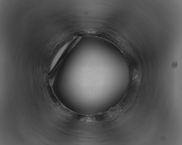 X0000089940559200707131456