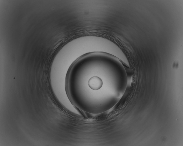 X0000089940560200707131456