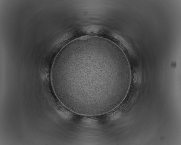 X0000089940561200707131456