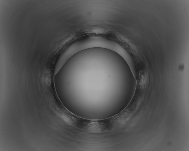 X0000089940562200707131456