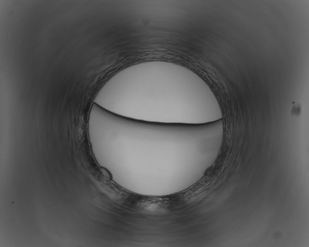 X0000089940563200707131456