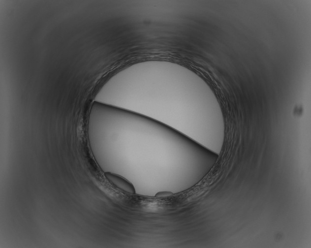 X0000089940564200707131456