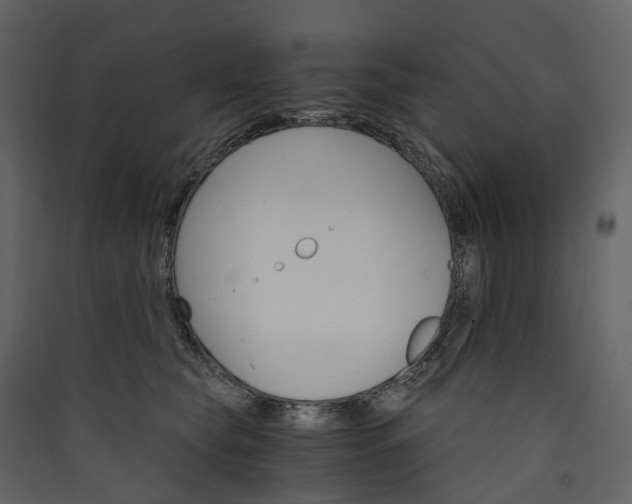 X0000089940565200707131456