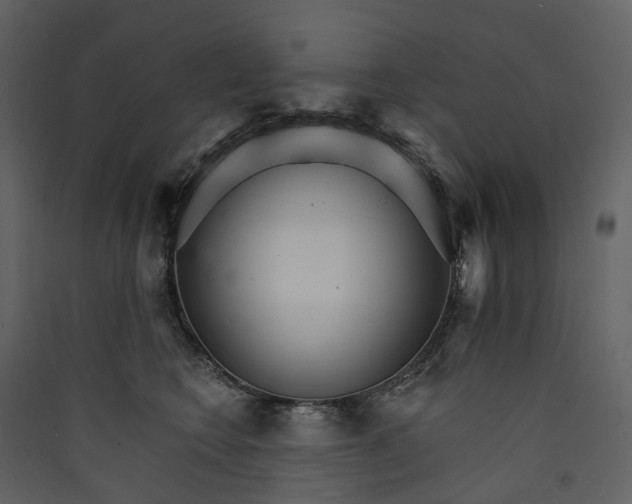 X0000089940566200707131456