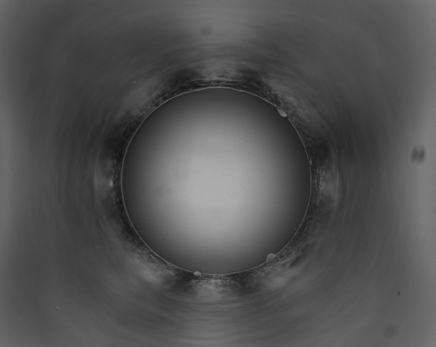 X0000089940567200707131456