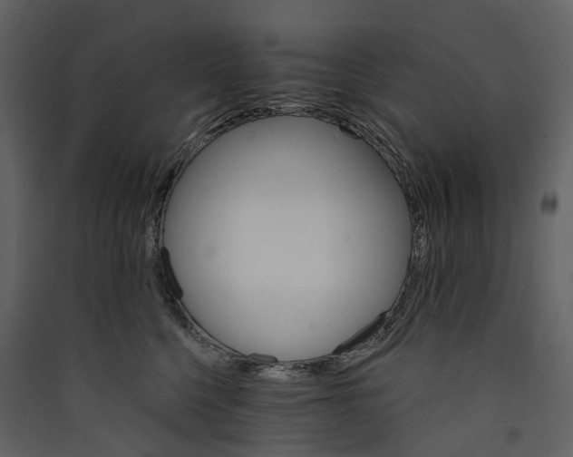 X0000089940568200707131456