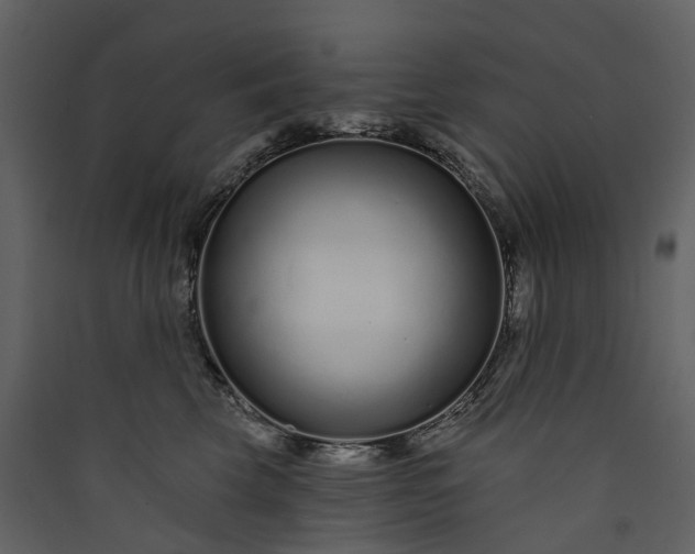 X0000089940569200707131456