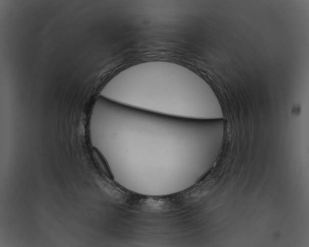 X0000089940570200707131456