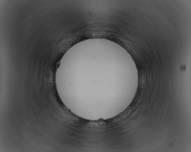 X0000089940571200707131456