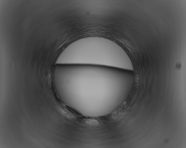 X0000089940572200707131456