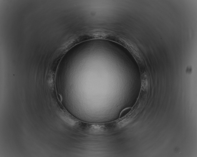 X0000089940573200707131456