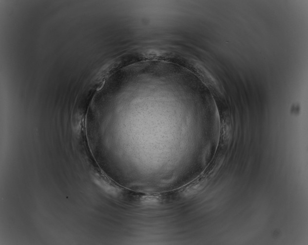 X0000089940574200707131456