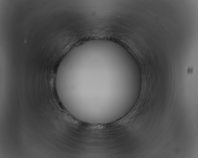 X0000089940576200707131456