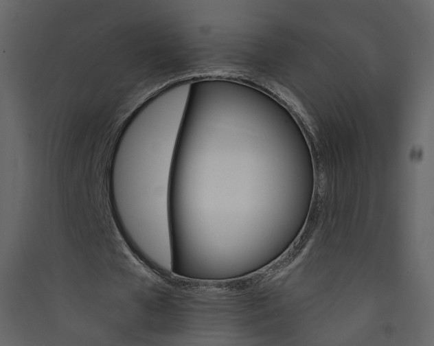 X0000089940577200707131455