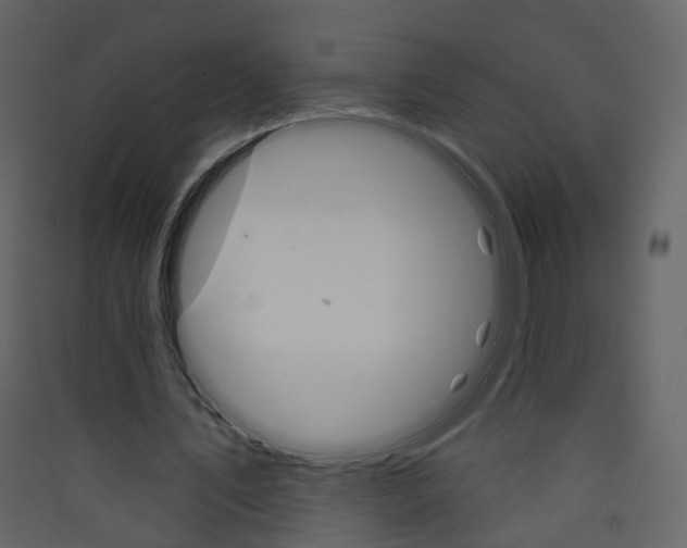 X0000089940579200707131455