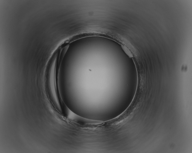 X0000089940580200707131455