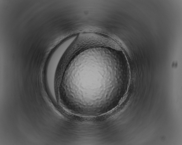 X0000089940581200707131455