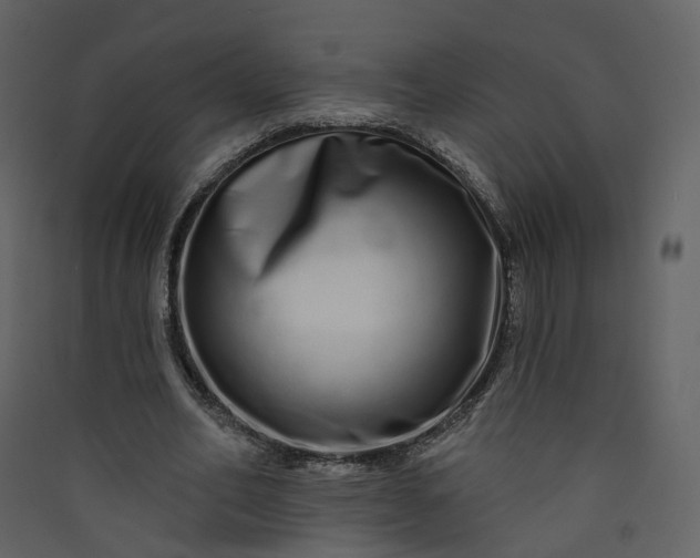 X0000089940582200707131455