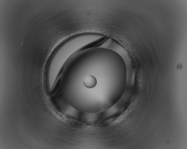 X0000089940584200707131455