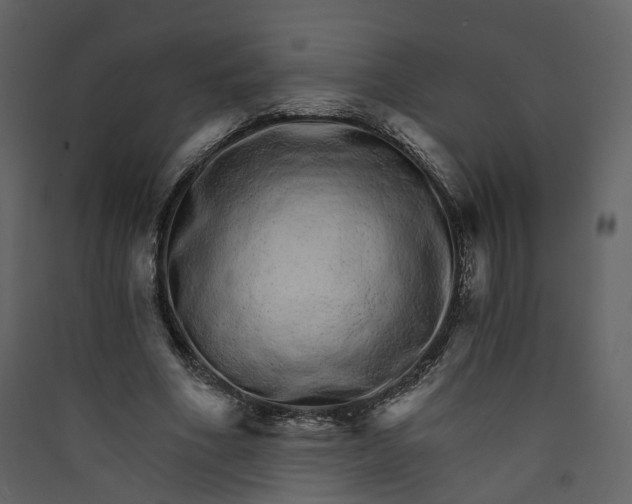 X0000089940586200707131455