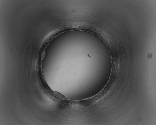 X0000089940587200707131455