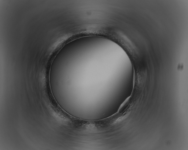 X0000089940588200707131455