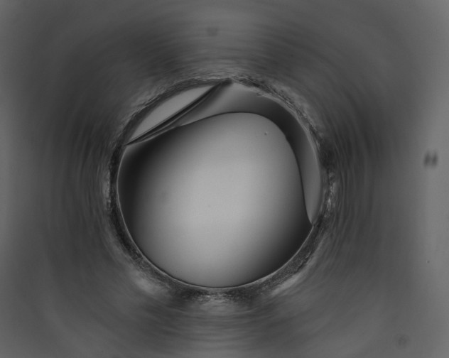 X0000089940589200707131455