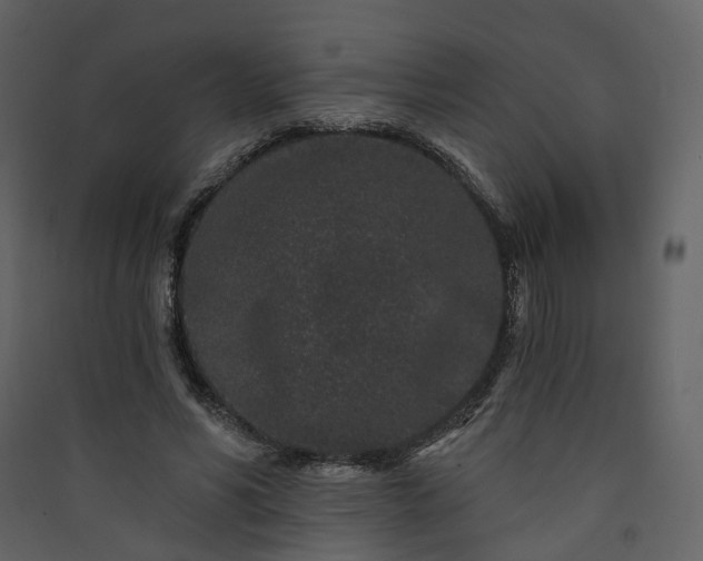 X0000089940590200707131455