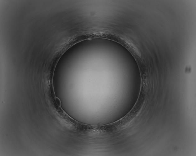 X0000089940593200707131455