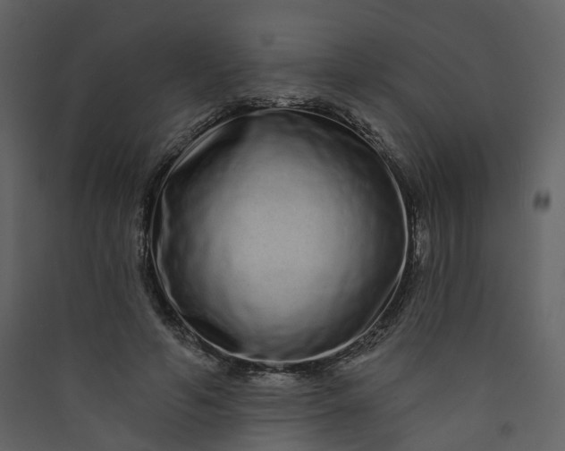 X0000089940594200707131455