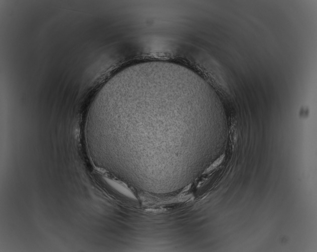 X0000089940595200707131455