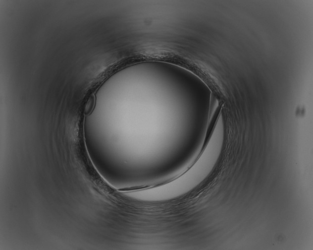 X0000089940596200707131455