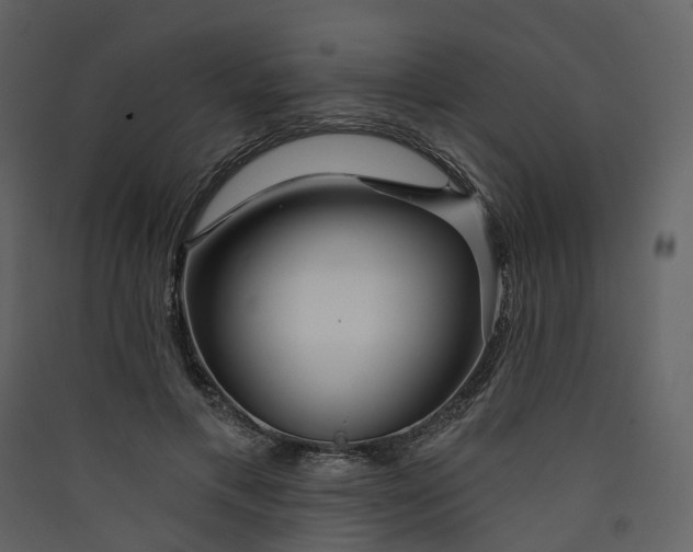 X0000089940597200707131455