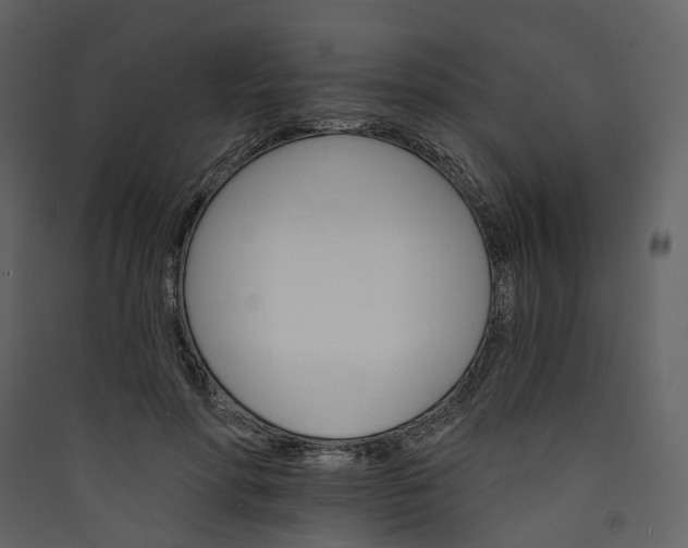 X0000089940598200707131455