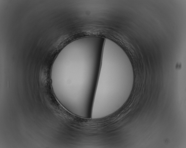 X0000089940600200707131455