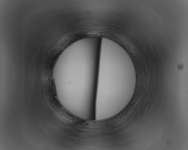 X0000089940601200707131455