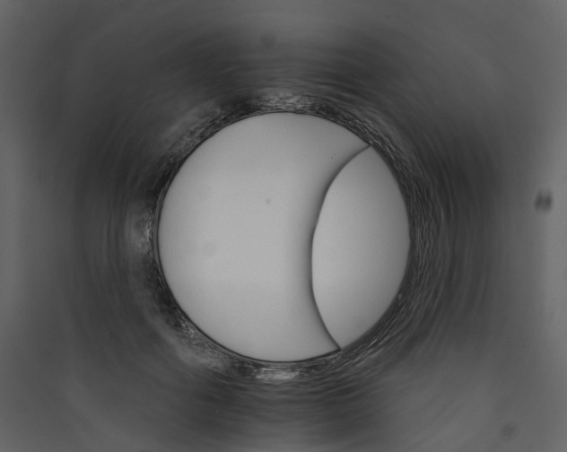 X0000089940602200707131455