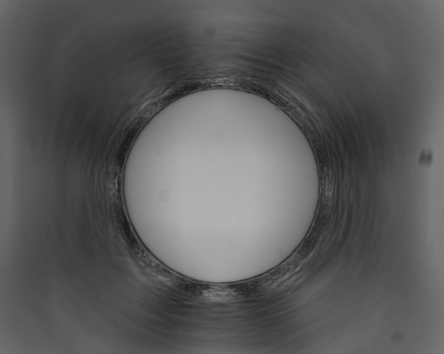 X0000089940603200707131455