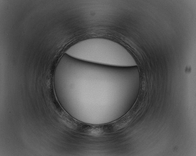 X0000089940604200707131455