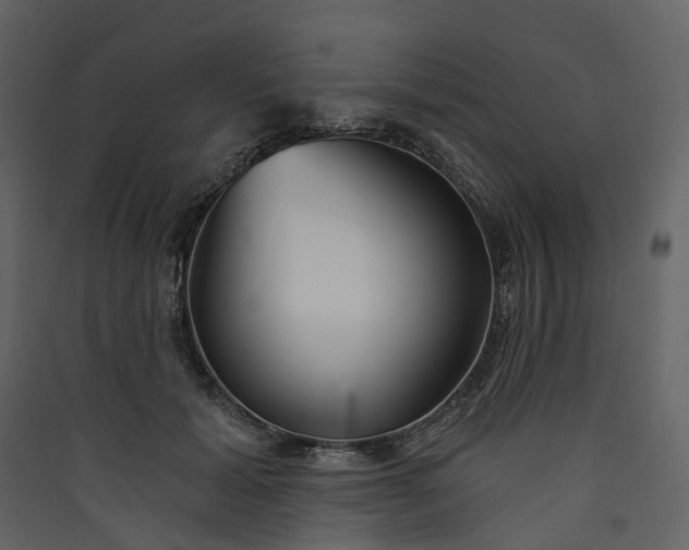 X0000089940605200707131455