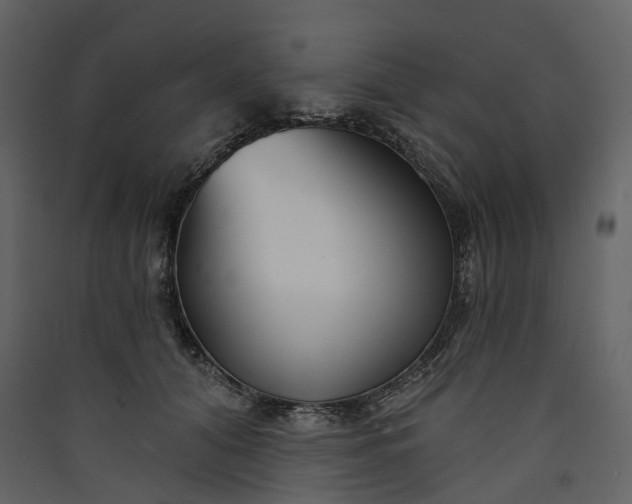 X0000089940608200707131455