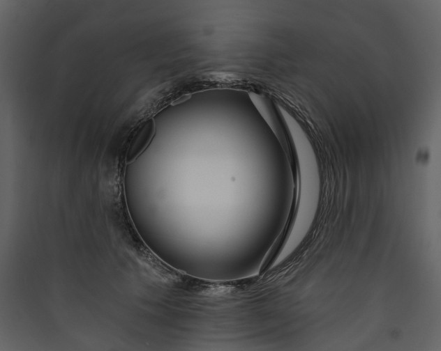 X0000089940609200707131455