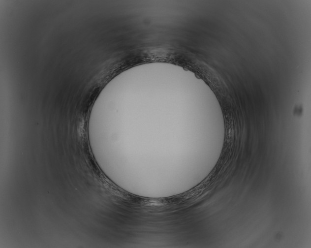 X0000089940610200707131455