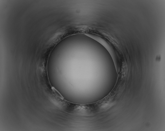 X0000089940611200707131455