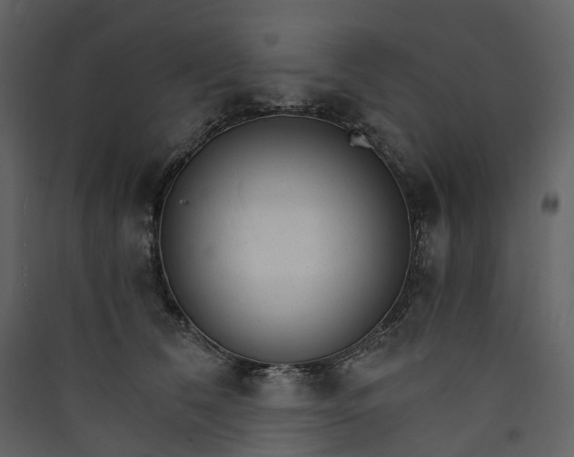 X0000089940612200707131455