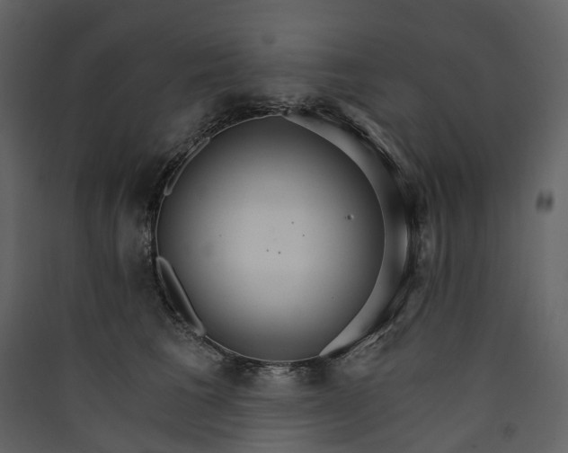 X0000089940613200707131455