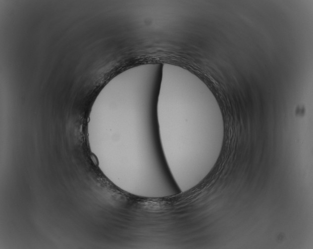 X0000089940615200707131455