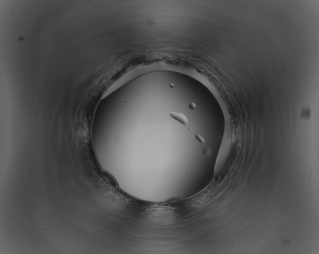 X0000089940617200707131455