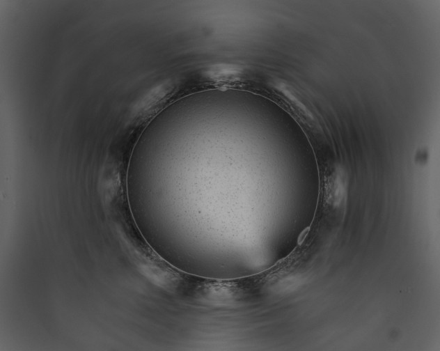 X0000089940618200707131455